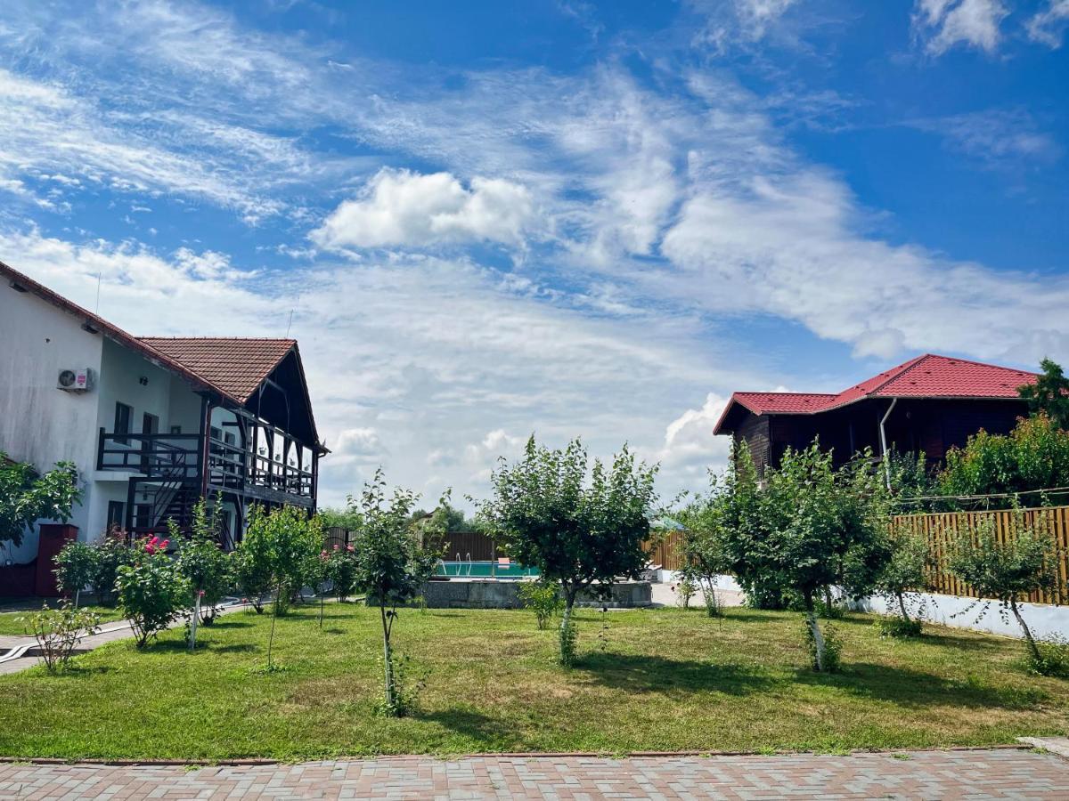 Pensiunea Crisan Екстериор снимка